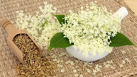 Cỏ để điều trị viêm khớp