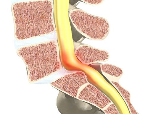 Phân đoạn vận động máu